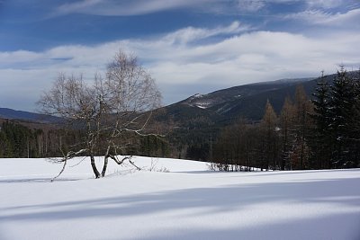 z-ramzove-do-lipove-1-.jpg