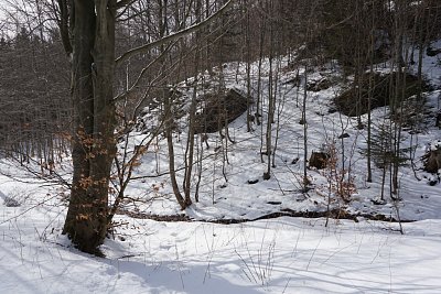 z-ramzove-do-lipove-2-.jpg