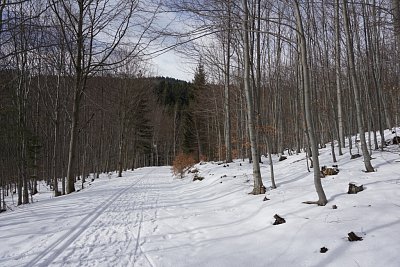z-ramzove-do-lipove-3-.jpg