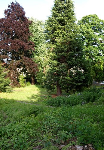 zahrada-2-1.jpg