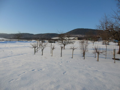 Zahrada v Doupovkách..