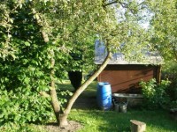 Zahrádky zase frčí, lidé
chtějí domácí zeleninu