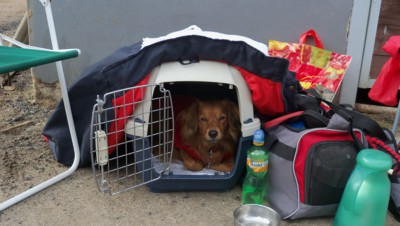 BEZDOMOVEC ??? Kdepak, zátiší na závodech)))