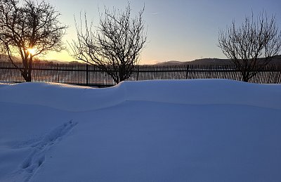 Miluše Hasenohrlová