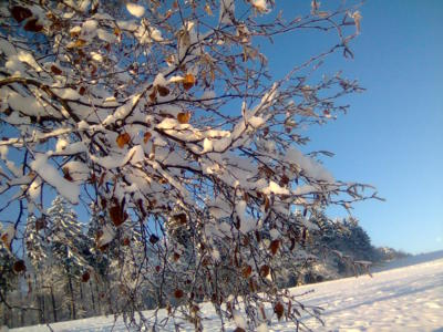 Opravdová zima v Liberci - snad se opět dočkáme