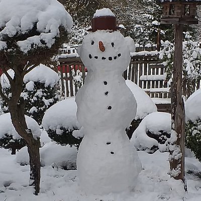 Miluše Hasenohrlová