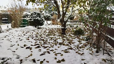 První sníh na zahradě