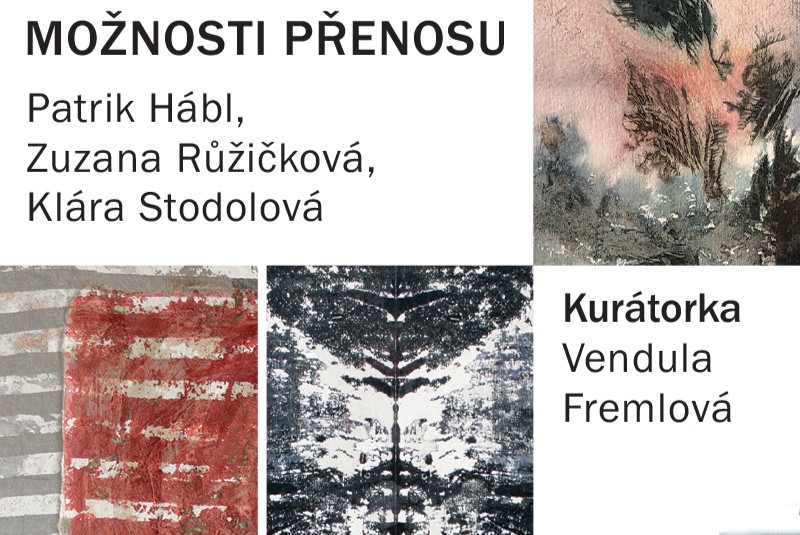 Možnosti přenosu v Galerii Hollar