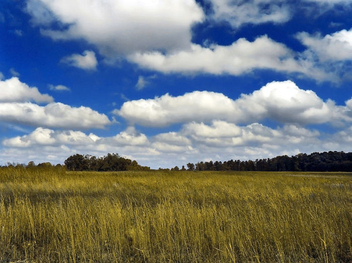 Kdepak, léto ještě nekončí, 
oznamují meteorologové